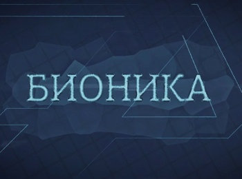 программа Техно 24: Бионика Космические животные