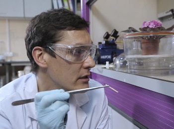 программа Санкт-Петербург: Биосфера Законы жизни