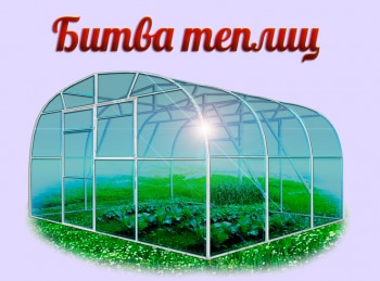 Битва-теплиц-Установка-грядок,-выбор-грунта