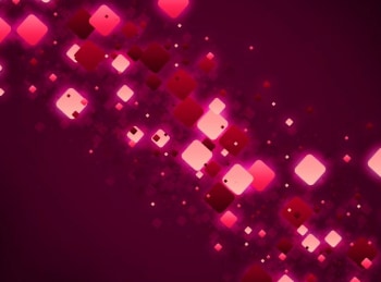 программа TV5: Bizarroscope