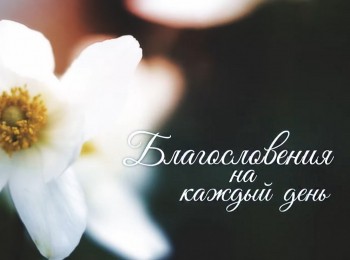 Благословения-на-каждый-день-Все-Писание-богодухновенно-лето