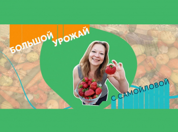 программа Загородный: Большой урожай Как выращивать овощи в теплице?