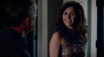 программа А1: Босх 9 серия