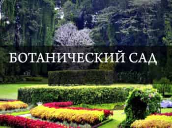 программа Наш киномир: Ботанический сад