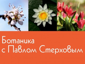 программа Усадьба: Ботаника с Павлом Стерховым 2 серия