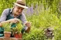 Букварь-дачника-29-серия