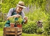 программа Усадьба: Букварь дачника 7 серия