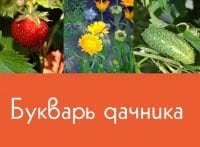 программа Усадьба: Букварь дачника 3 серия