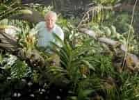 Царство-растений-3-серия