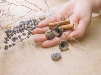 Час-с-Форум-Хаус-50-оттенков-кофе-Обзор-интерьера-в-современном-доме