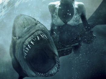 программа ТВ3: Челюсти