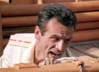 Черные-береты