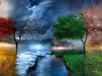 Четыре-сезона-Малоизвестные-салатные-овощи