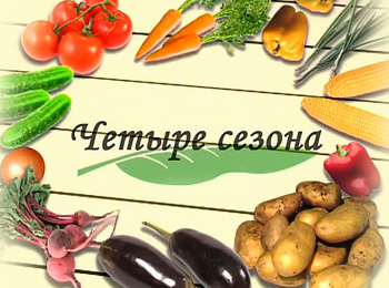 Четыре-сезона-Полезные-растения