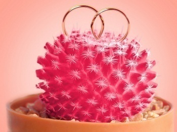 программа Пятница: Четыре свадьбы Свадьба в стиле мюзикла VS Европейская свадьба