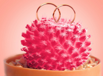 программа Пятница: Четыре свадьбы Свадьба вечеринка VS Свадьба на природе