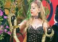 Цирк-Массимо