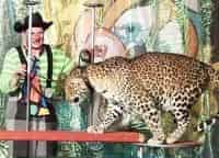 Цирк-С-риском-для-жизни