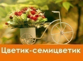 программа Мультиландия: Цветик семицветик