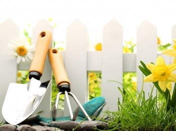 Цветники-8-серия