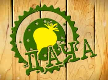 программа Беларусь 24: Дача