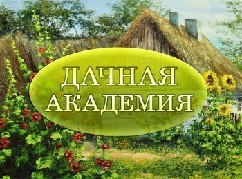 Дачная-академия-Черновая-разметка,начало-работ-с-дорожками,пересадка-растений