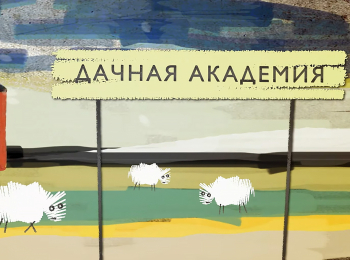 программа Мужской: Дачная академия Посадка саженцев, витамины для кур