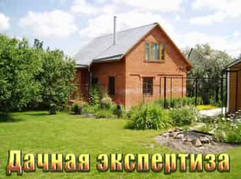 Дачная-экспертиза-Различные-способы-выращивания-картофеля
