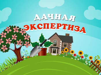 программа Загородная жизнь