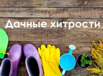 Дачные-хитрости-12-серия
