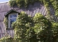 программа Усадьба: Дачные хитрости 9 серия