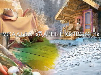 программа Загородный: Дачные хитрости Профилактические работы в саду: защита от вредителей и болезней, а также подкормка растений, для получения хорошего урожая