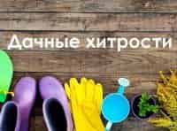 программа Усадьба: Дачные хитрости 19 серия