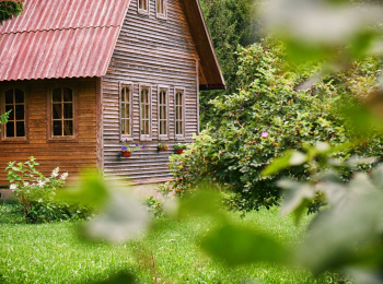 программа Усадьба: Дачный угодник 19 серия