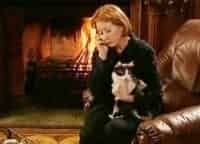 Даша-Васильева-Любительница-частного-сыска-За-всеми-зайцами-2-серия