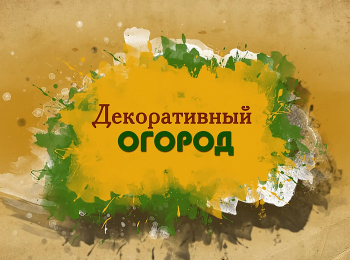 Декоративный-огород-Разбивка-клумбы-высадка-рассады