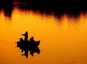 программа Охота: Делай, как Я 12 серия