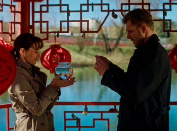 Денежное дерево кадры Денежное дерево кадры