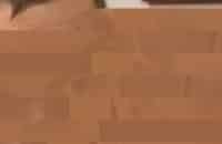 Детективы-Дочь-оленевода