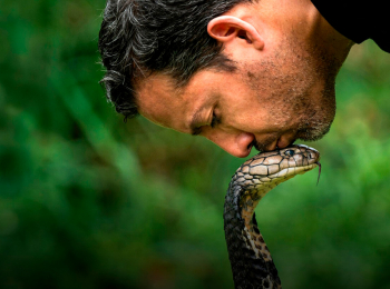 программа National Geographic: Дэвид Блейн: Не пытайтесь повторить Южная Африка