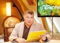 Диалоги-о-животных-Выпуск-от-7-ноября