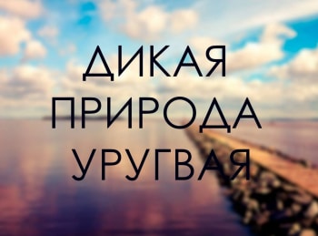 программа Культура: Дикая природа Уругвая