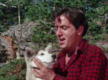 программа KINO24: Дикий пес севера