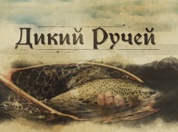 Дикий-ручей-Верховье