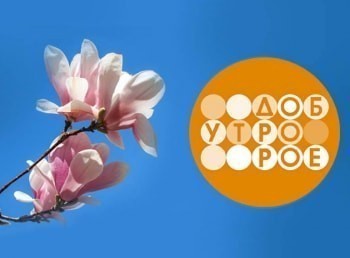 программа Спас ТВ: Доброе утро