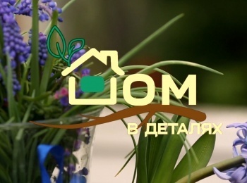Дом-в-деталях-25-серия