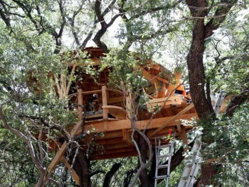 Дома-на-деревьях-Жилище-для-альпинистов