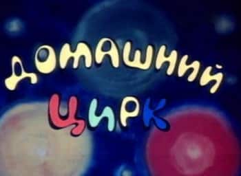 Домашний-цирк