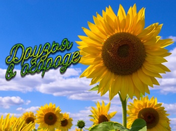 программа Три Ангела: Друзья в огороде Линия Удивительная линия