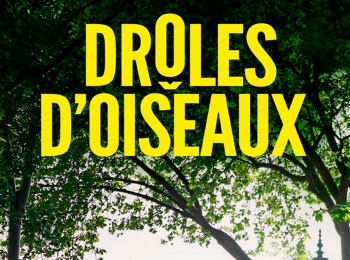 программа TV5: Drôles d oiseaux